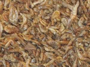 Shrimps, getrocknet, 200 gr. Beutel